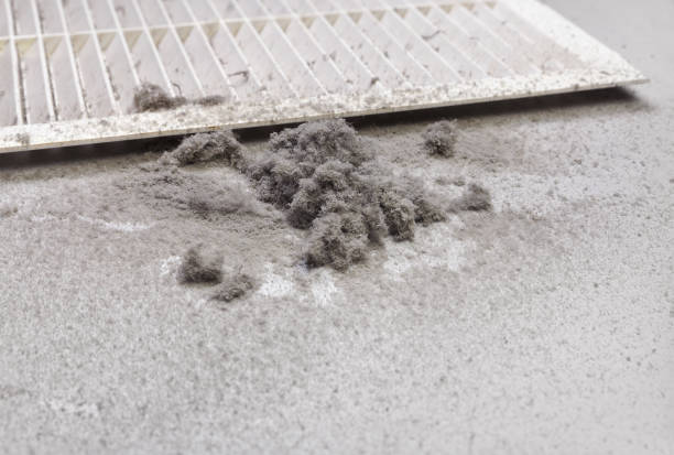 Best Home Air Vent Cleaning  in Riverview, MO